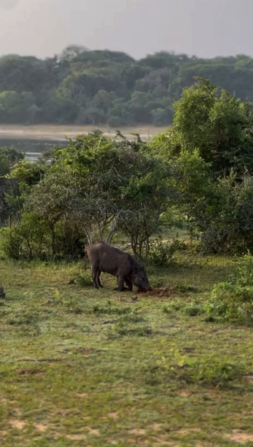 Шри-Ланка: Тур-Приключение Must-Visit (28/82)