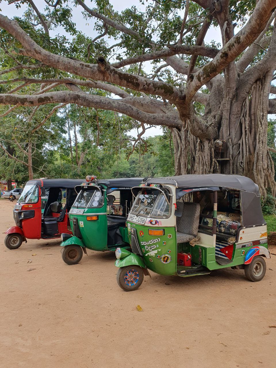 Шри-Ланка: Тур-Приключение Must-Visit (10/82)