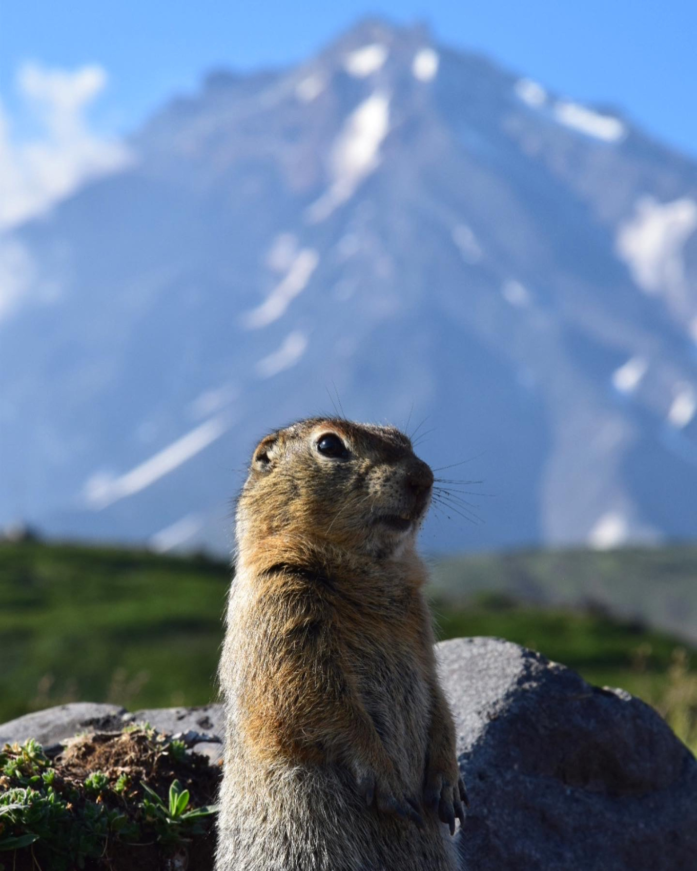 Чарующая Камчатка (6/26)