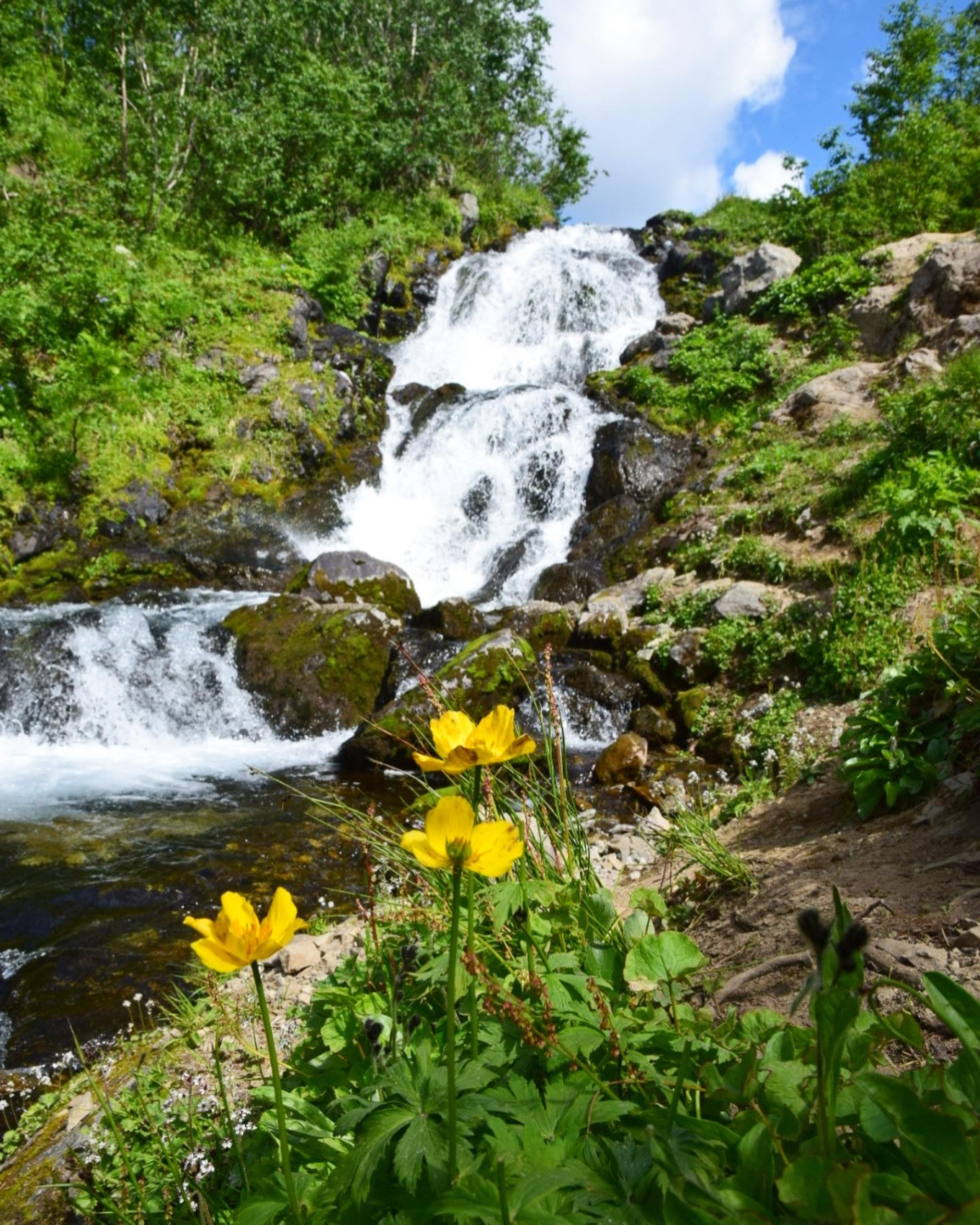 Чарующая Камчатка (9/26)