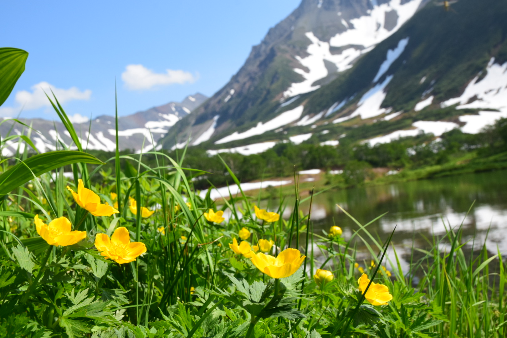 Чарующая Камчатка