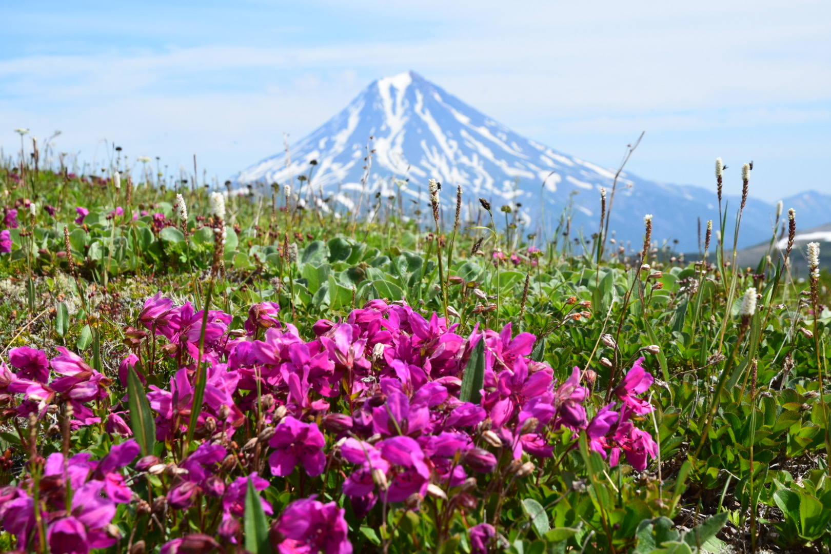 Четыре стихии Камчатки (6/47)