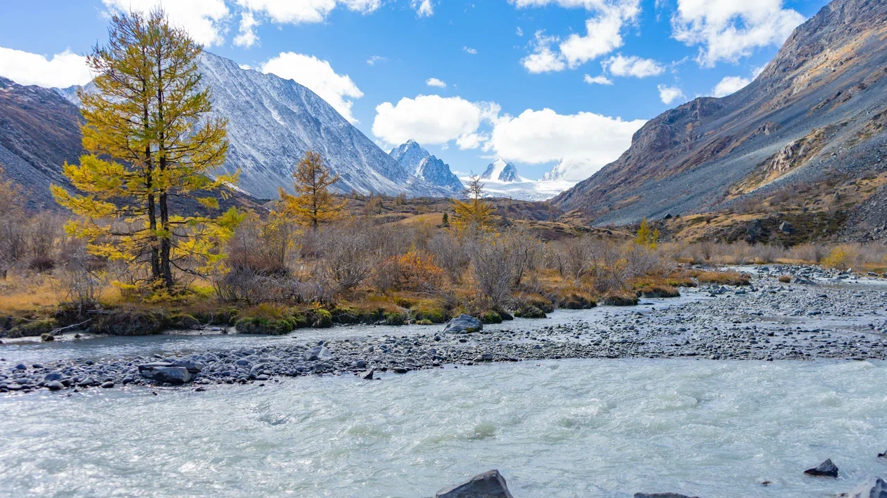 Путешествие Золотые горы Алтая (93/116)