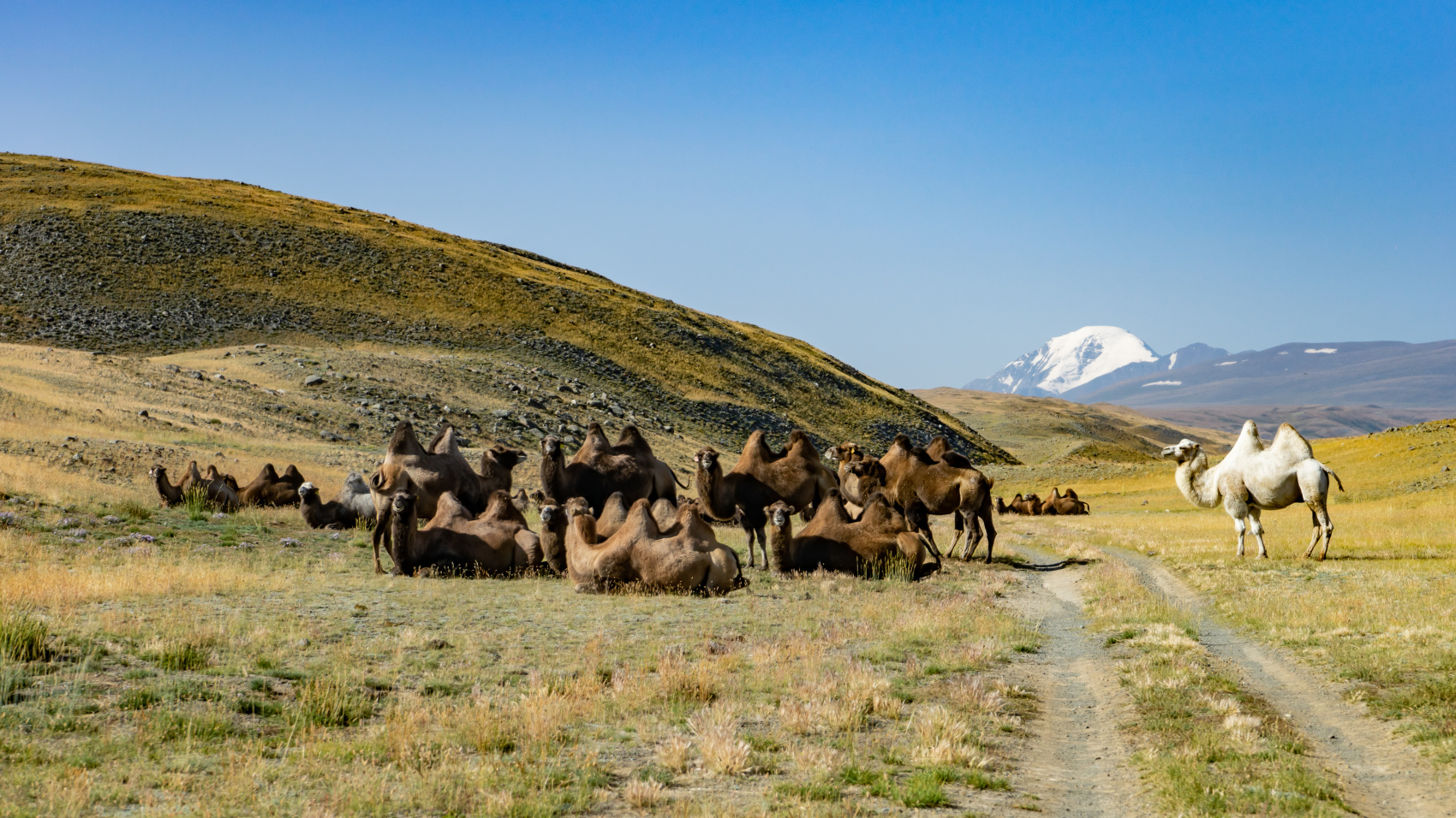 Путешествие Золотые горы Алтая (37/116)