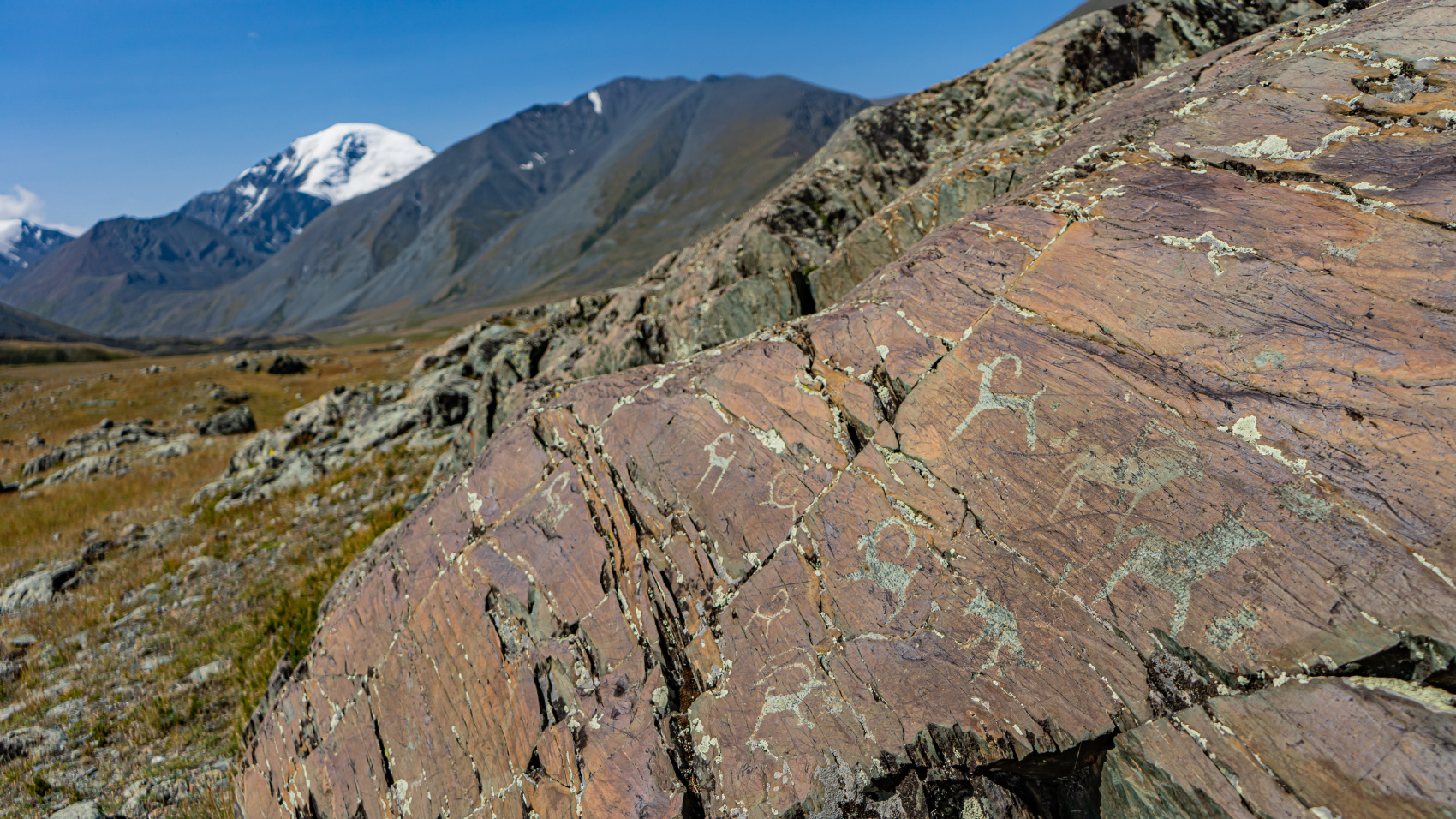 Путешествие Золотые горы Алтая (33/116)