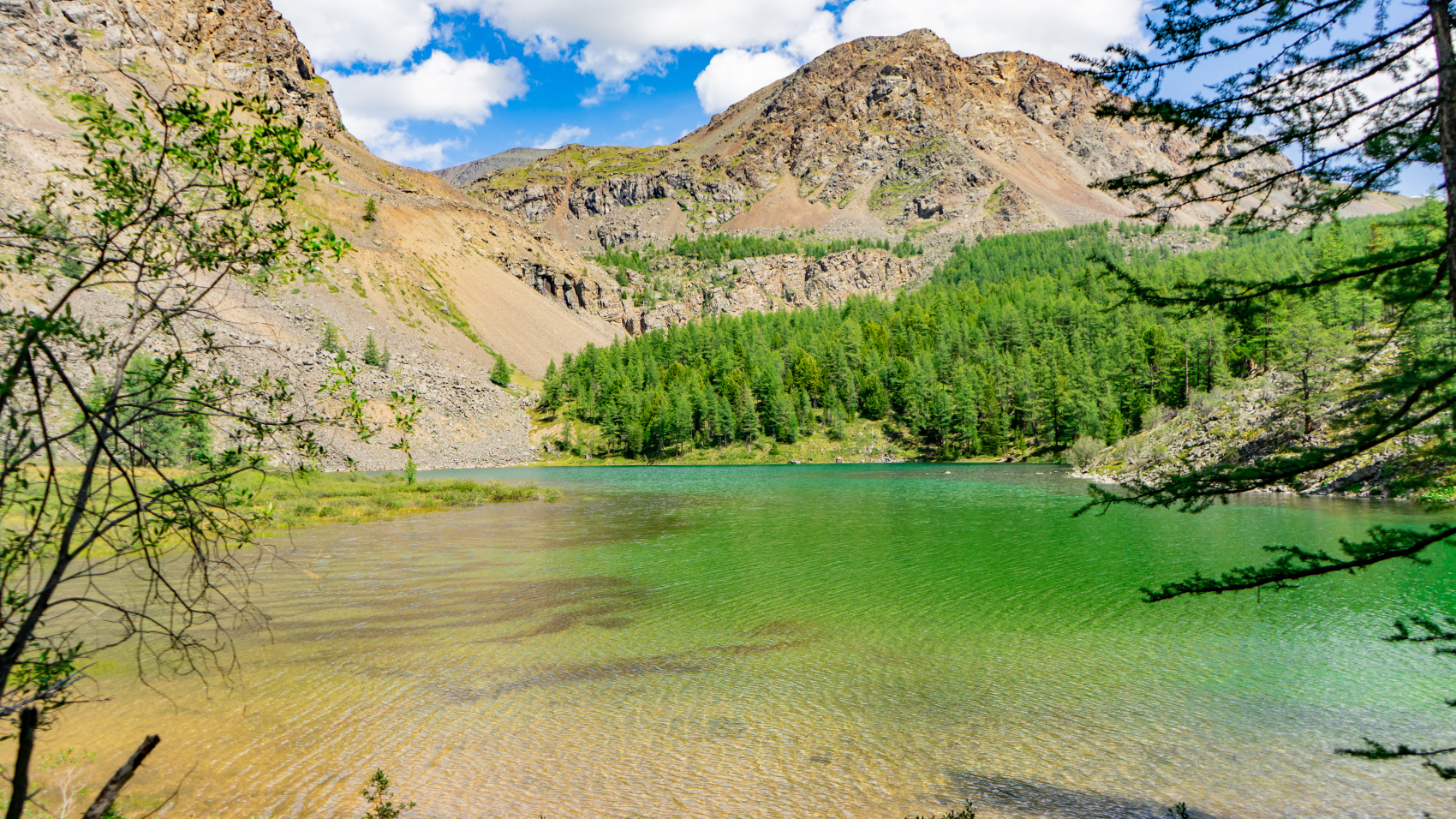 Путешествие Золотые горы Алтая (25/116)