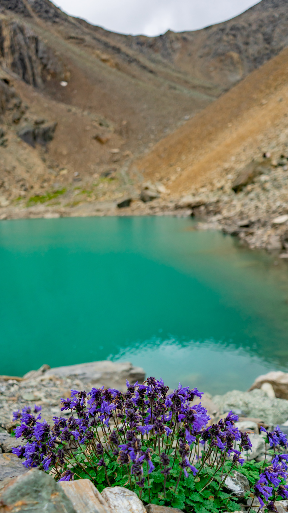 Путешествие Золотые горы Алтая (18/116)