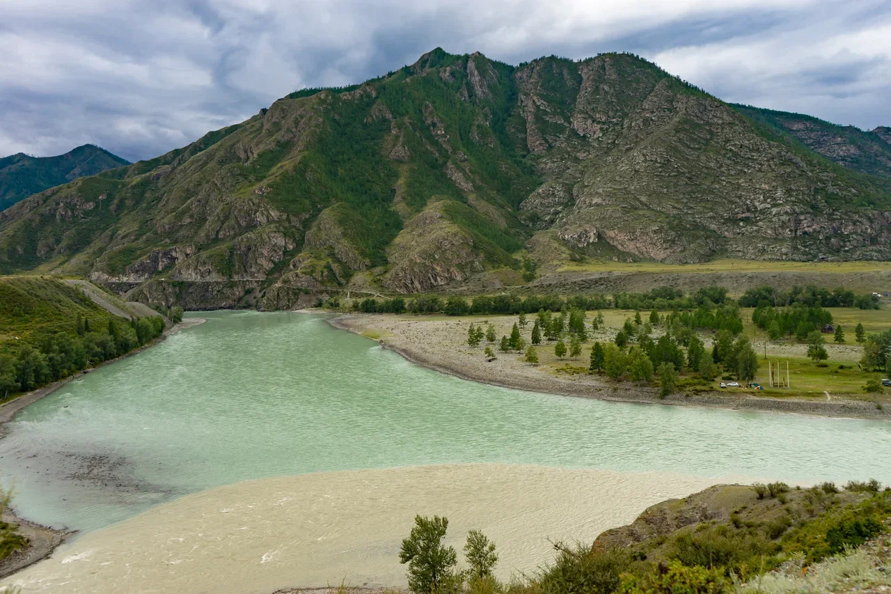 Путешествие Золотые горы Алтая (3/116)