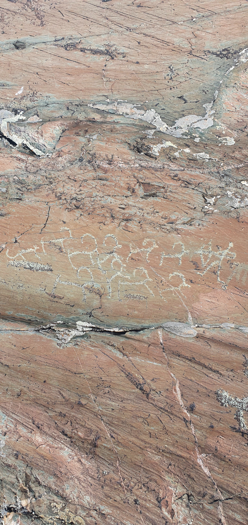 Путешествие Золотые горы Алтая (41/116)