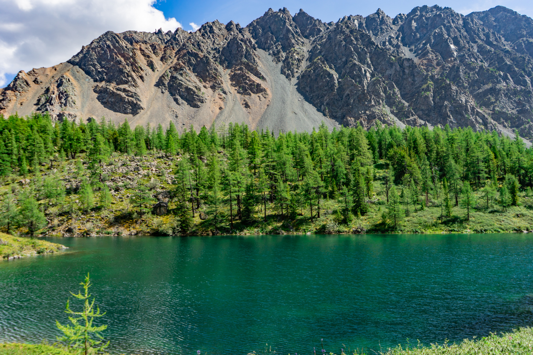 Путешествие Золотые горы Алтая (26/116)