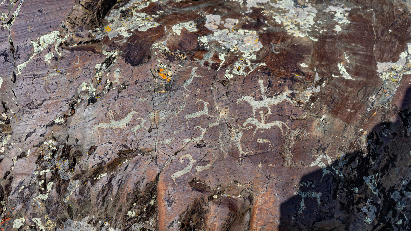 Путешествие Золотые горы Алтая (40/116)