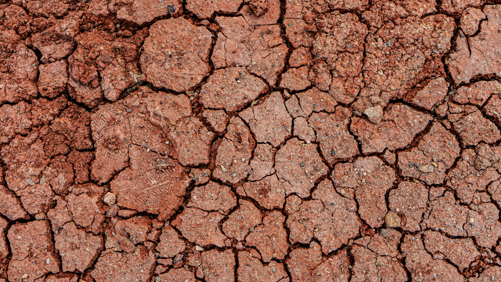 Путешествие Золотые горы Алтая (67/116)