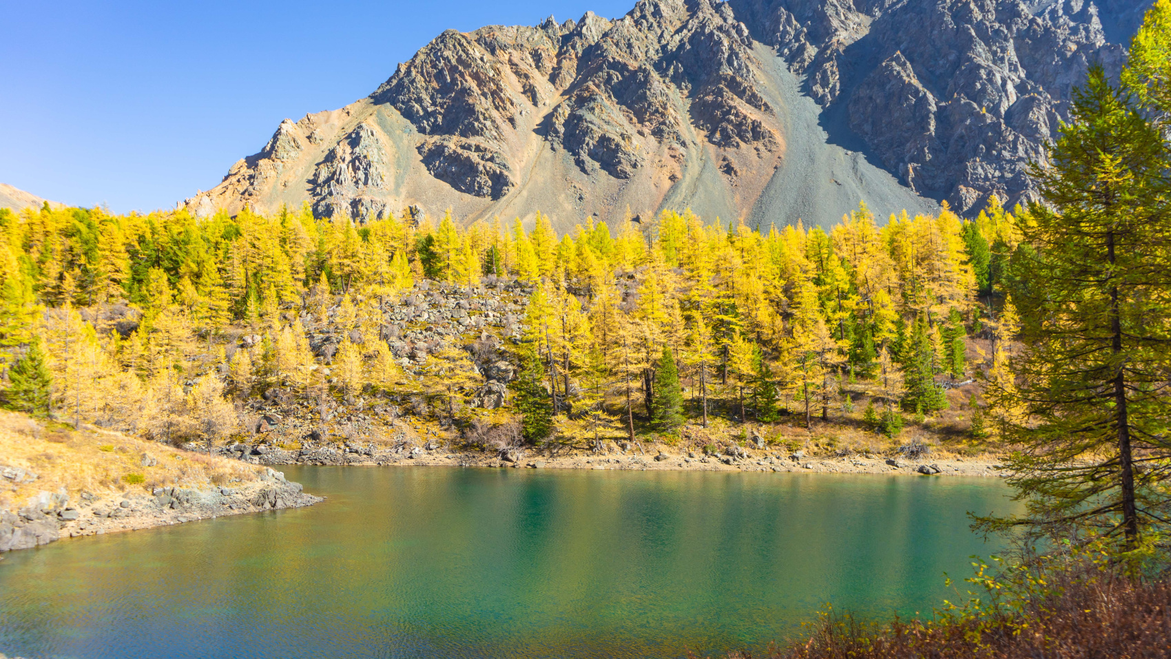 Путешествие Золотые горы Алтая (54/116)