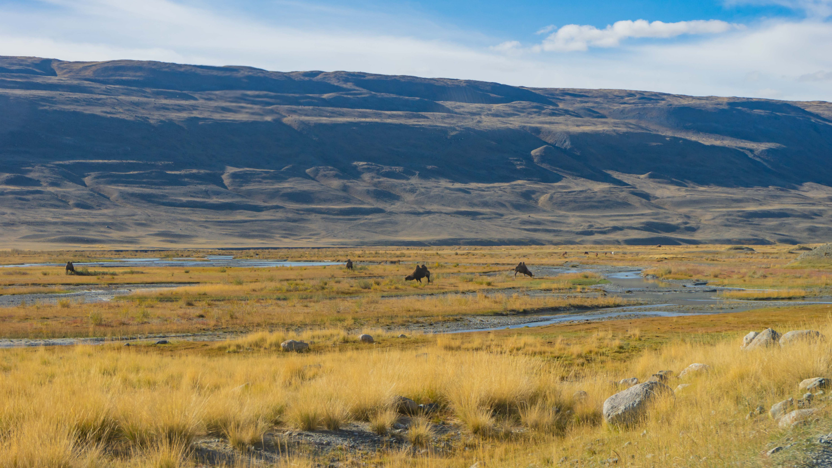 Путешествие Золотые горы Алтая (69/116)