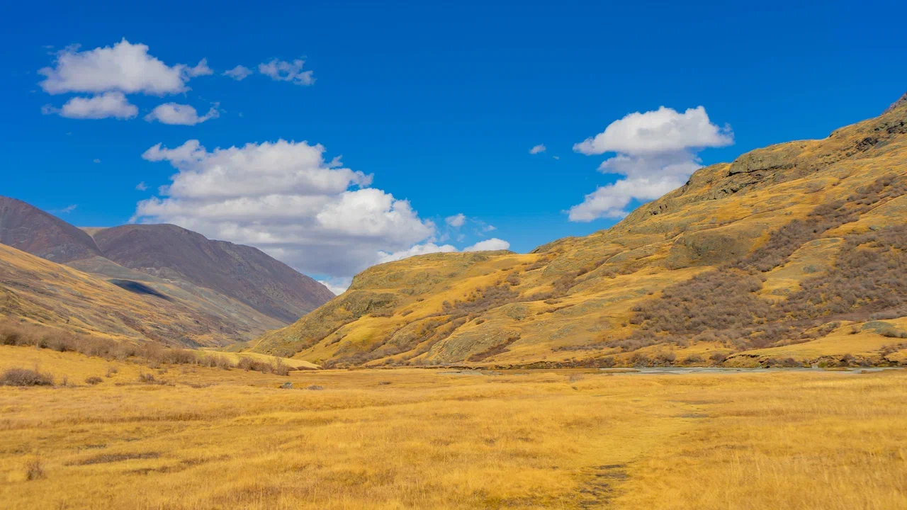 Путешествие Золотые горы Алтая (81/116)