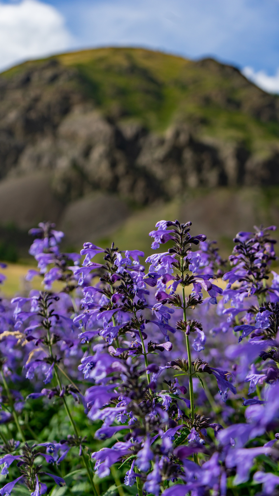 Путешествие Золотые горы Алтая (24/116)