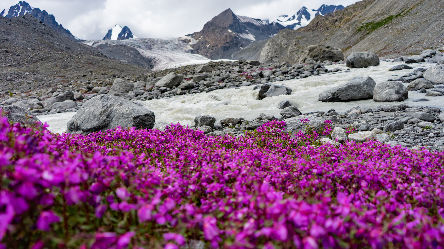 Путешествие Золотые горы Алтая (57/116)