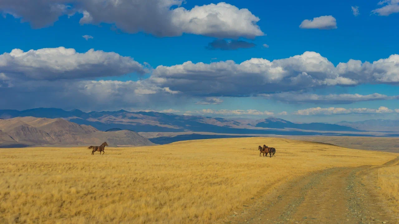 Путешествие Золотые горы Алтая (32/116)