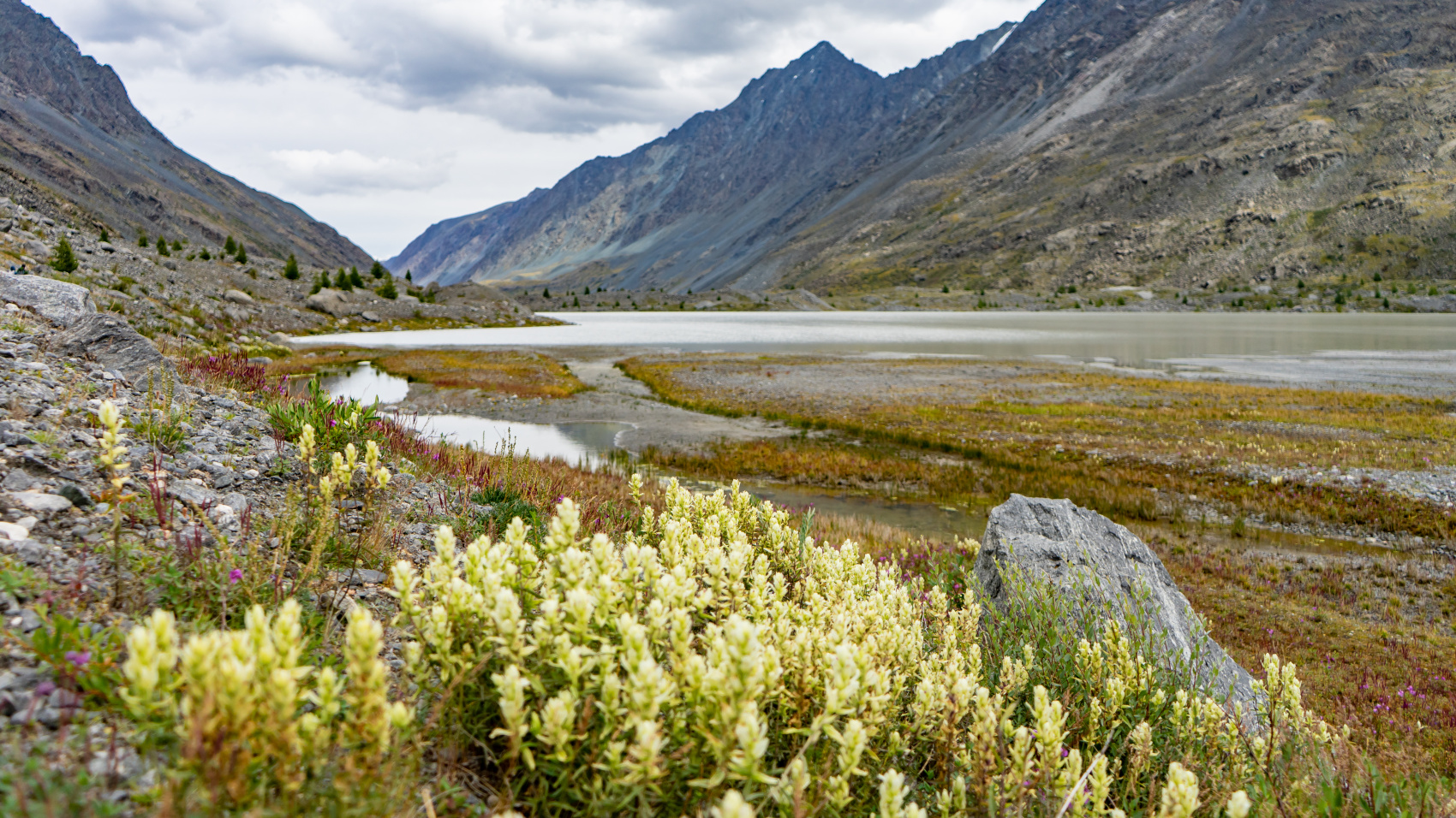 Путешествие Золотые горы Алтая (47/116)