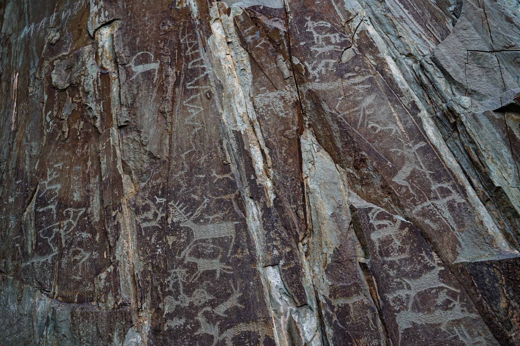 Путешествие Золотое кольцо Алтая (22/95)