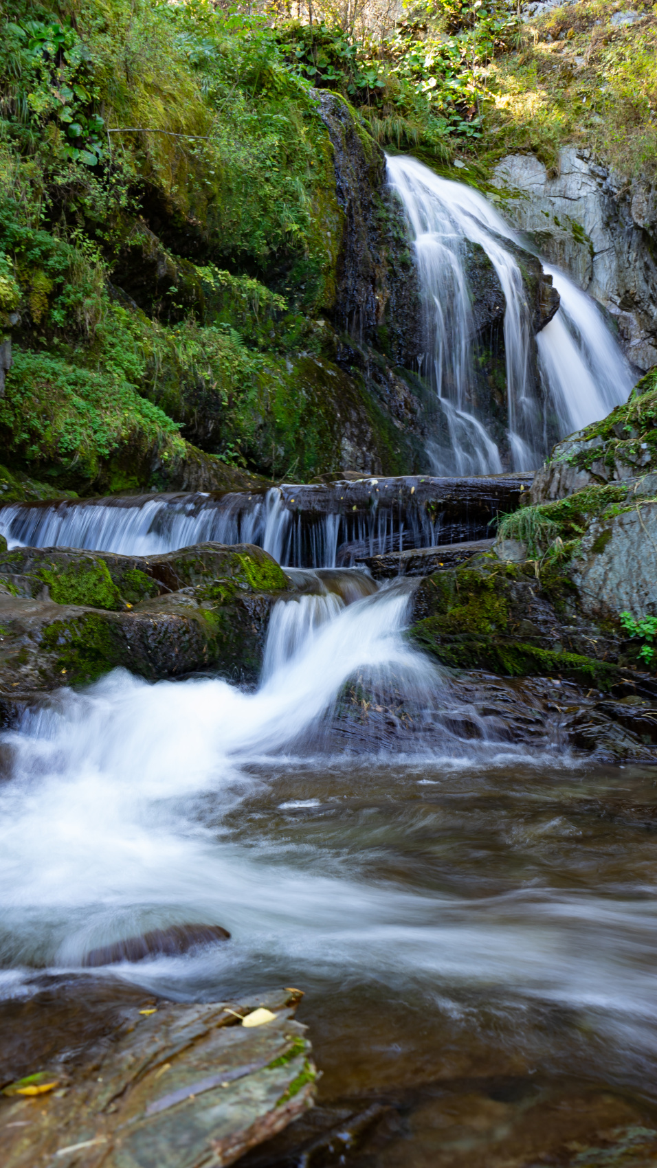Путешествие Золотое кольцо Алтая (57/95)