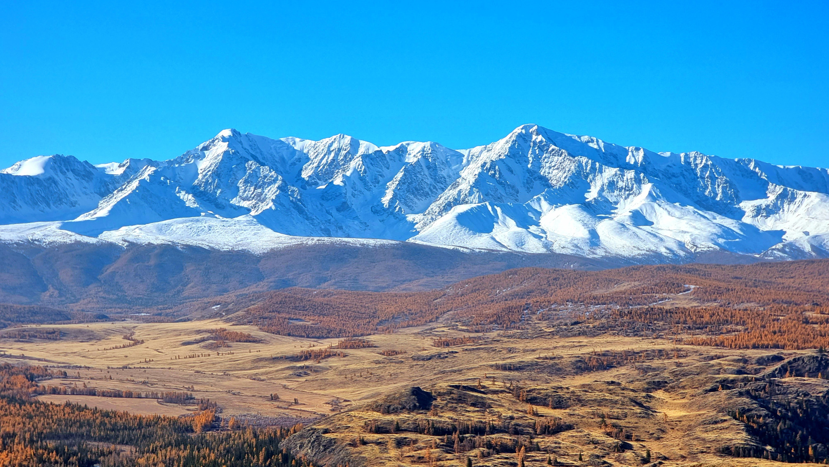 Путешествие Золотое кольцо Алтая (63/95)