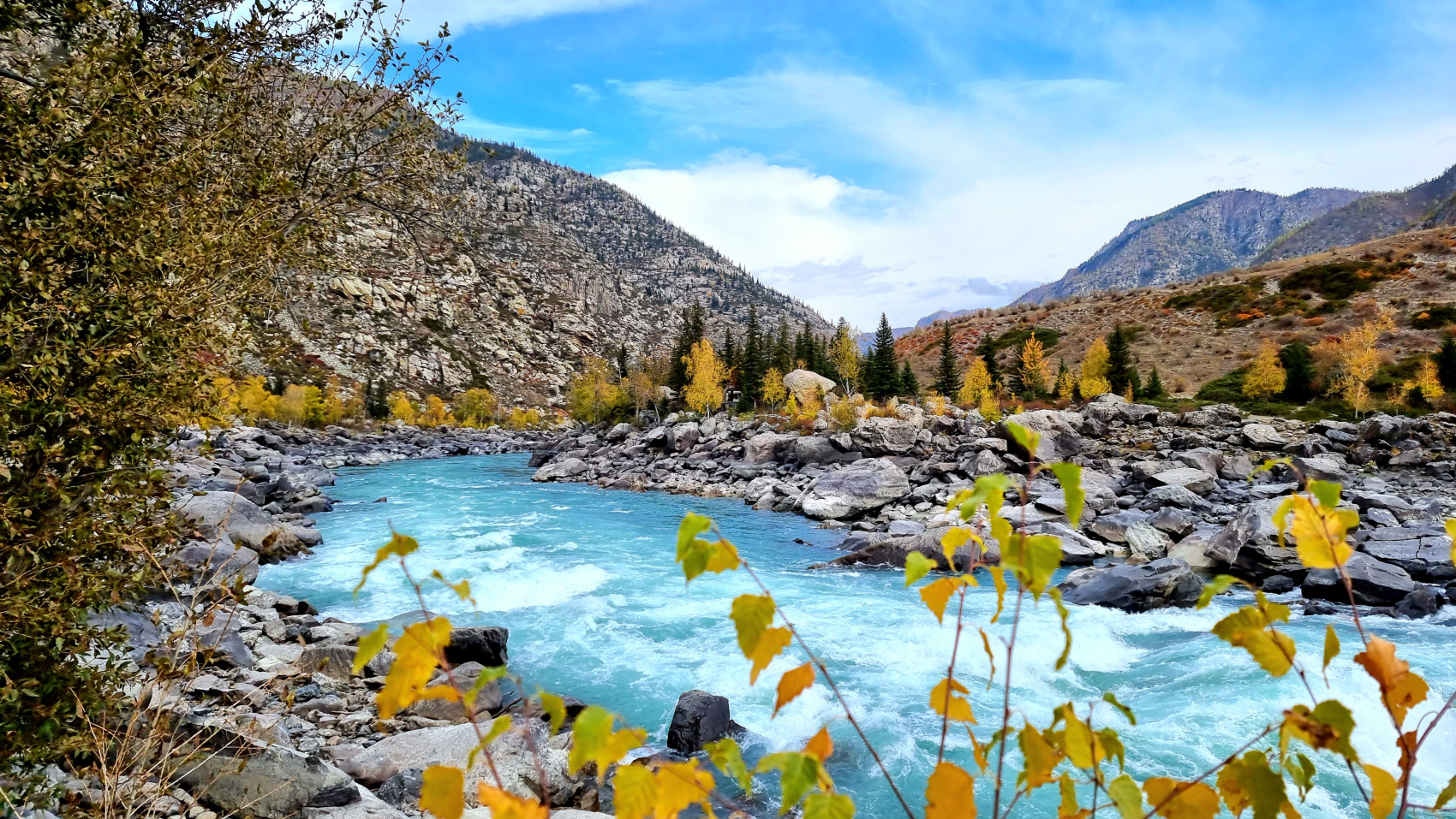 Путешествие Золотое кольцо Алтая (66/95)