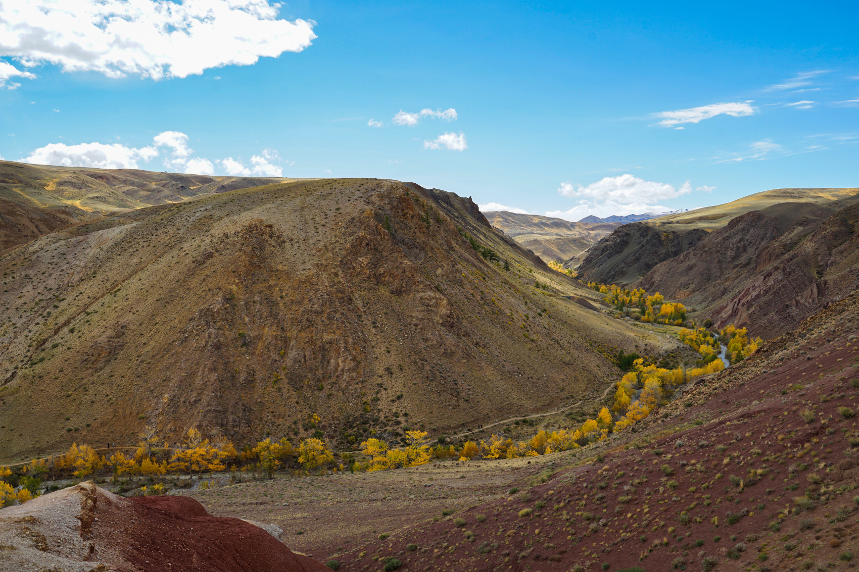Путешествие Золотое кольцо Алтая (20/95)