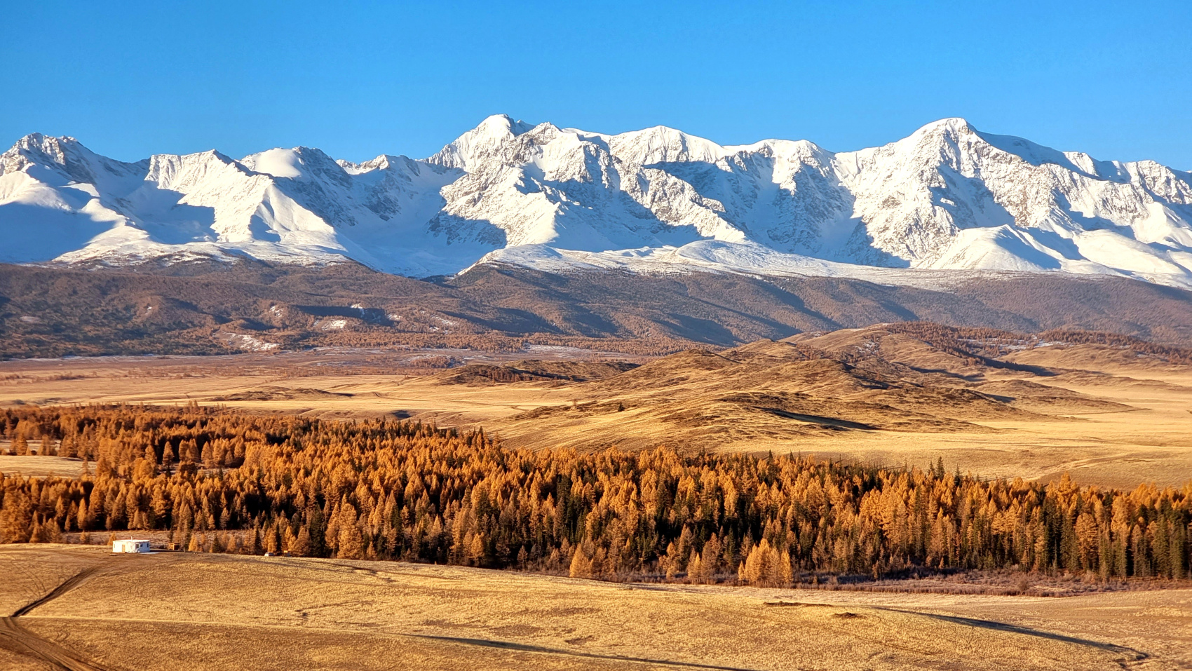 Путешествие Золотое кольцо Алтая (64/95)