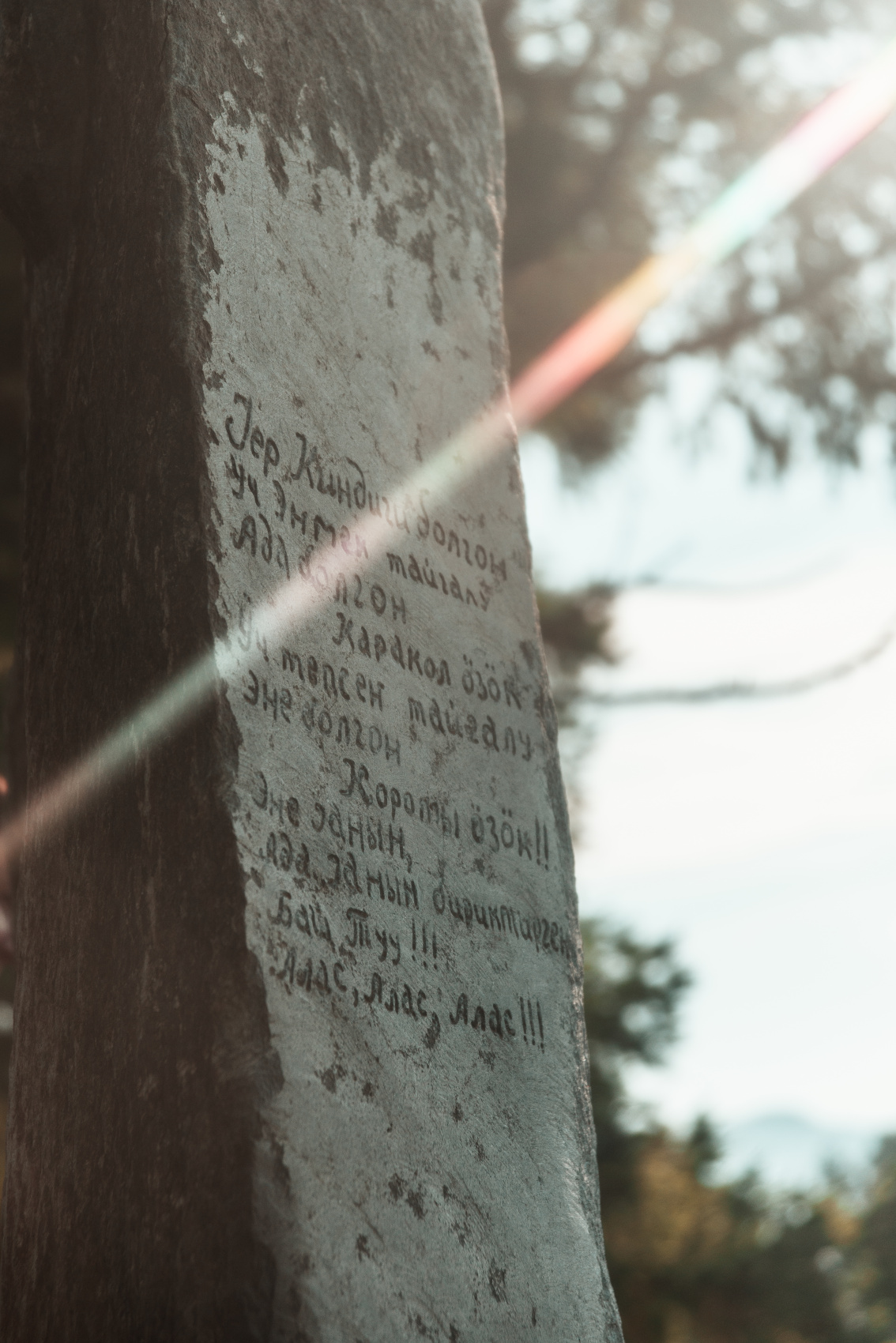 Путешествие Золотое кольцо Алтая (12/95)