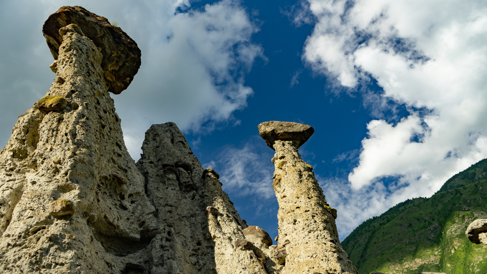 Путешествие Золотое кольцо Алтая (45/95)