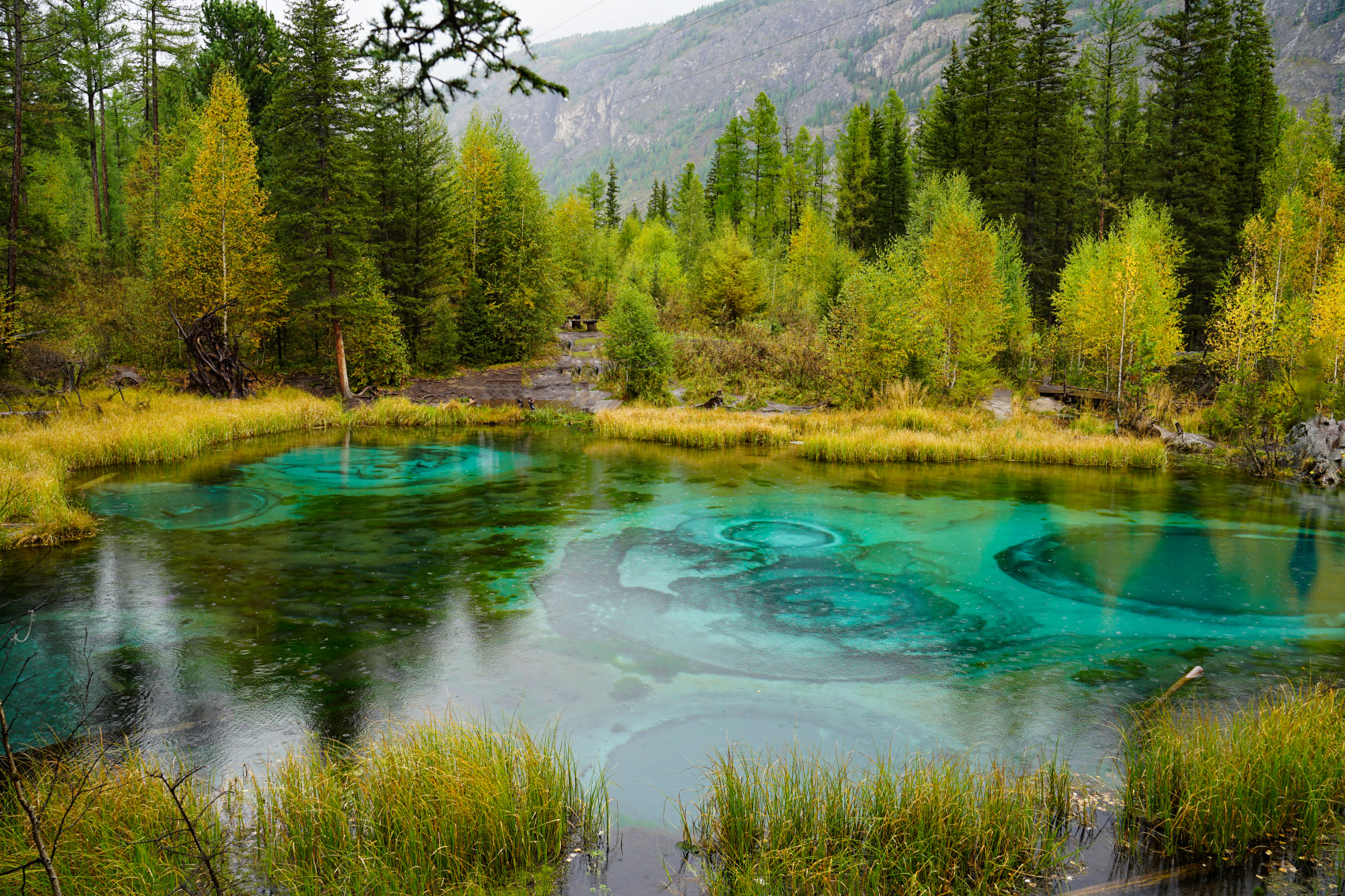 Путешествие Золотое кольцо Алтая (18/95)