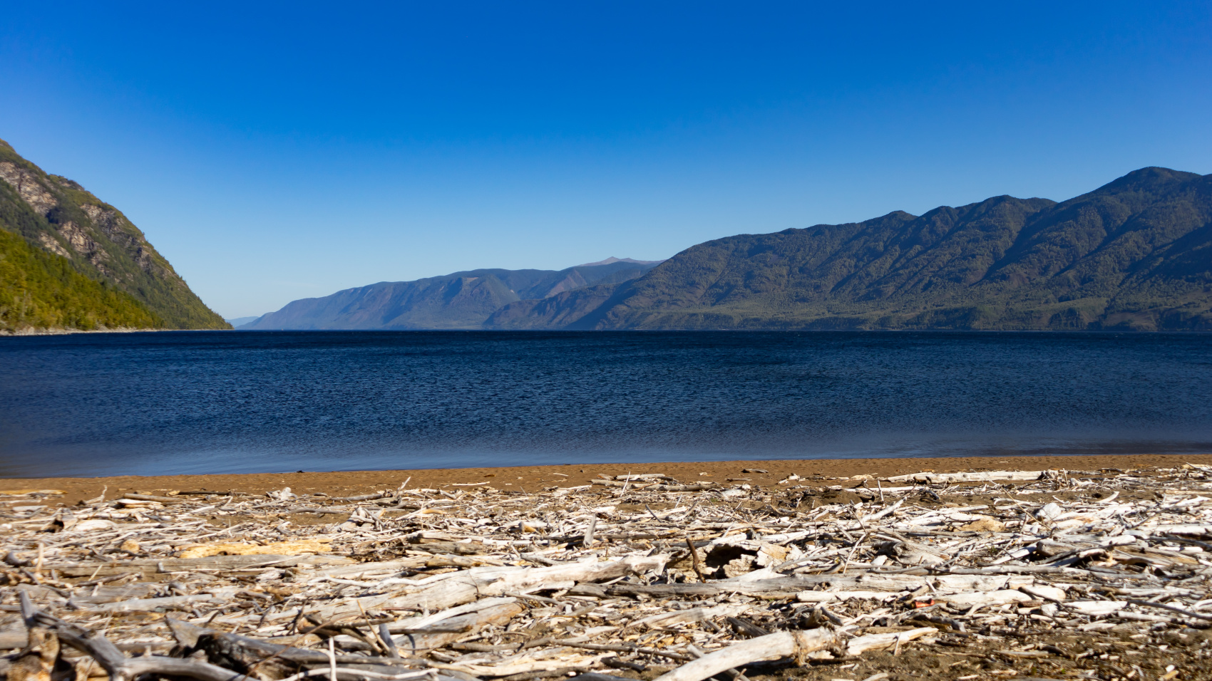 Путешествие Золотое кольцо Алтая (54/95)