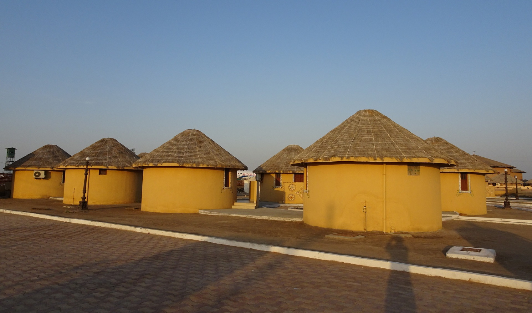 Тур по дикой природе Гуджарата (4/41)