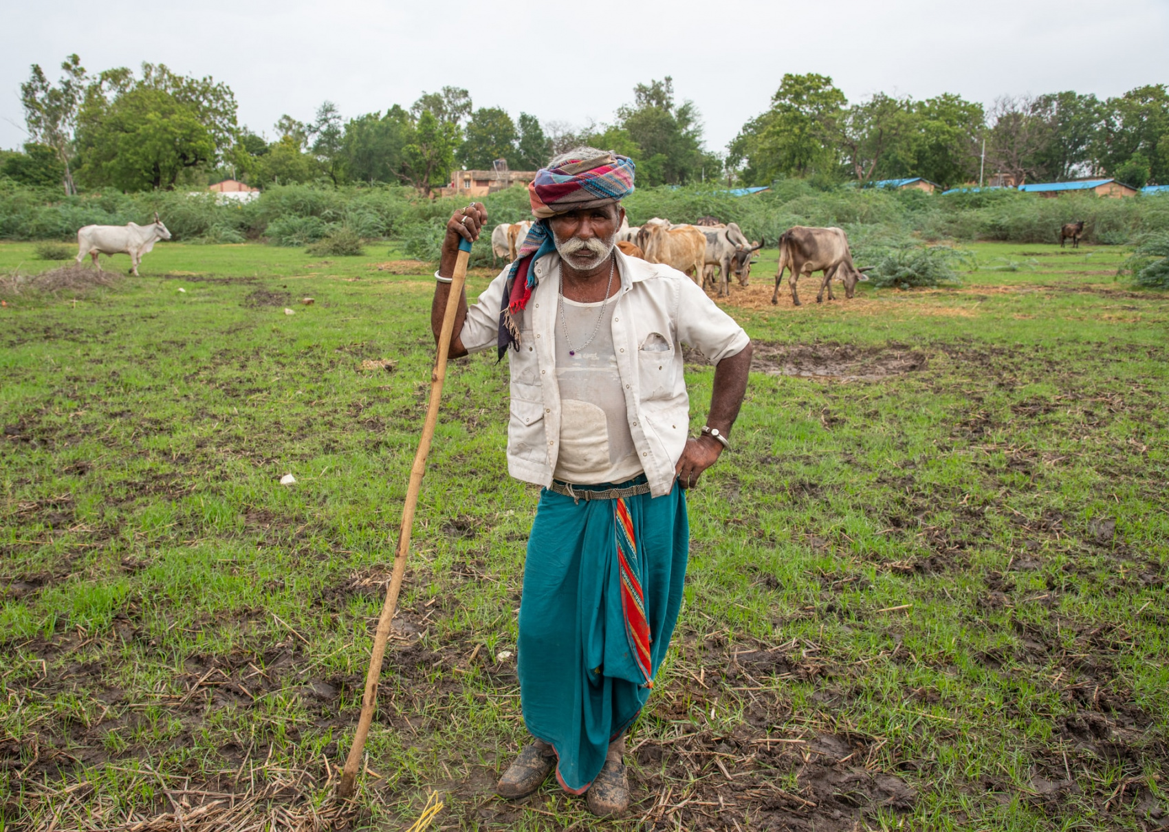 Тур по дикой природе Гуджарата (3/41)