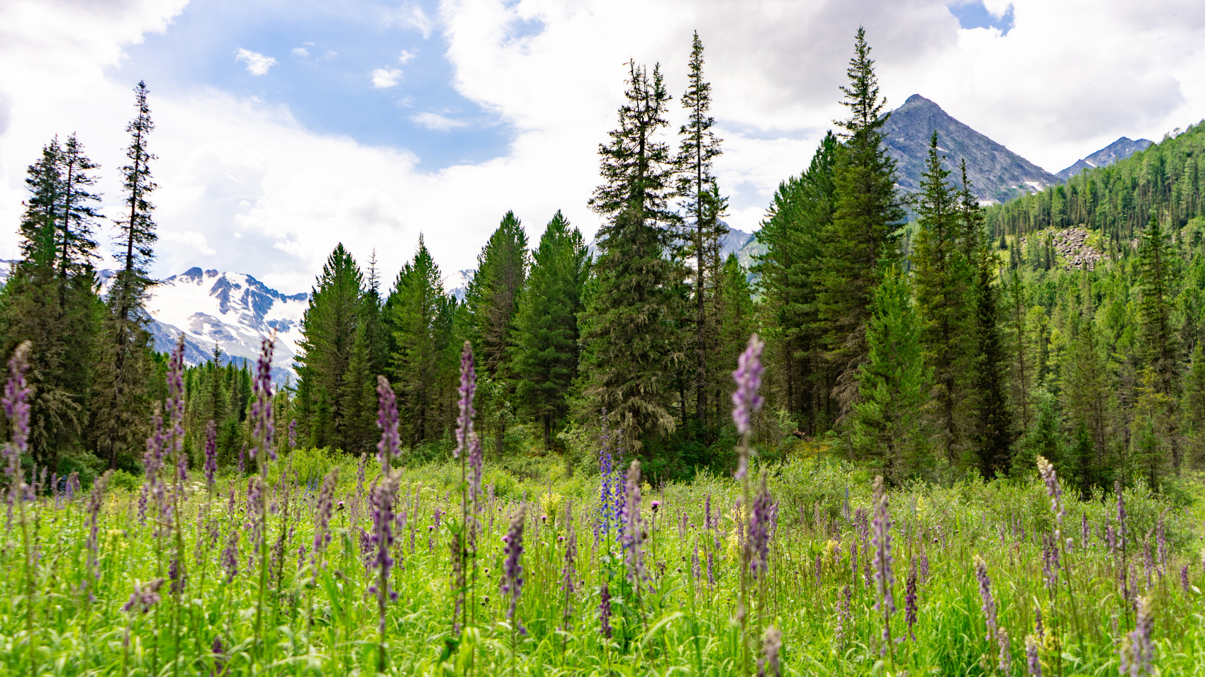Путешествие Весь Алтай (12 дней) (22/102)