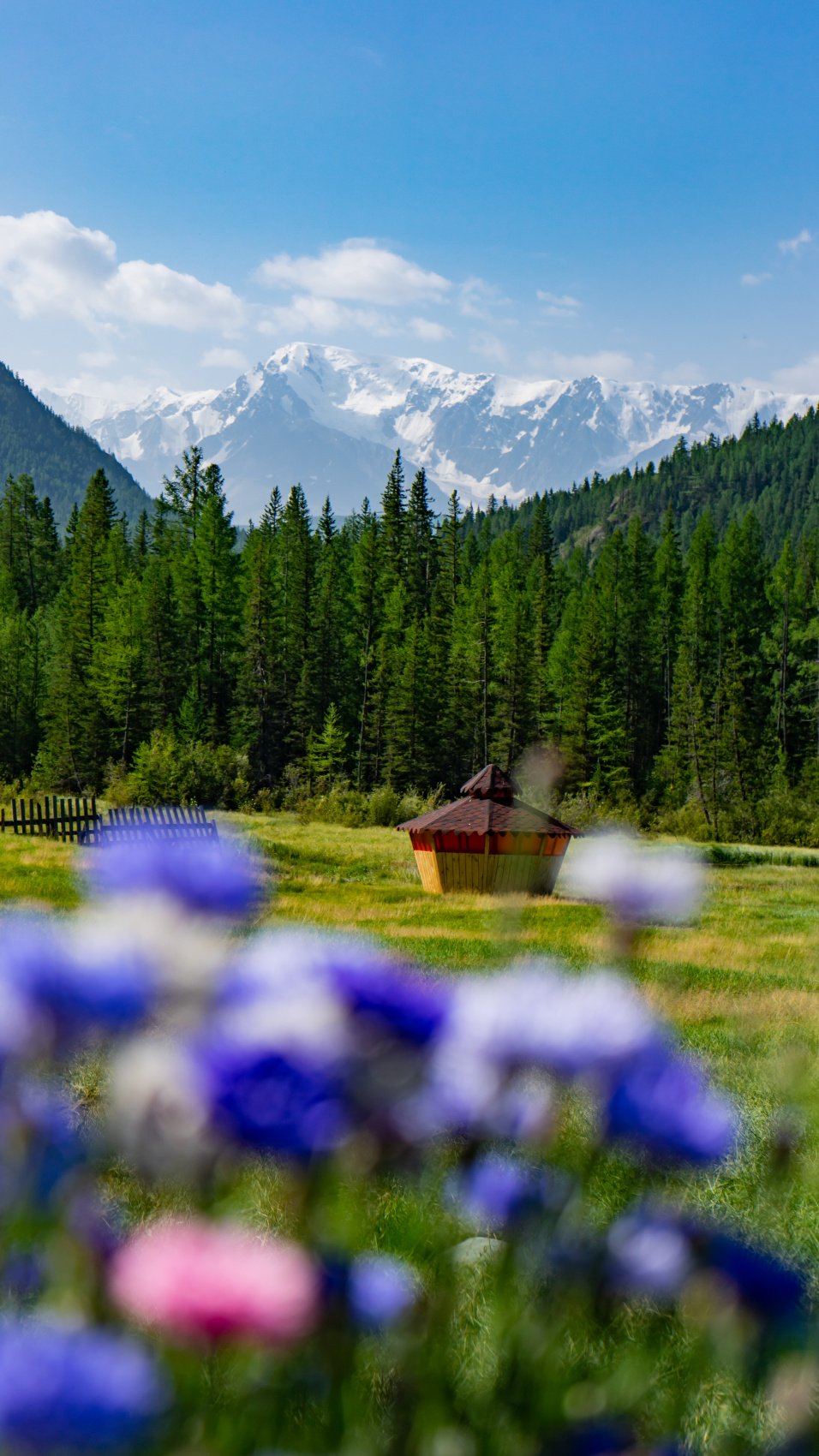 Путешествие Весь Алтай (12 дней) (56/102)