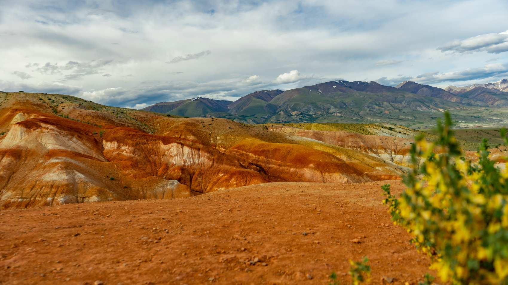 Путешествие Весь Алтай (12 дней) (37/102)
