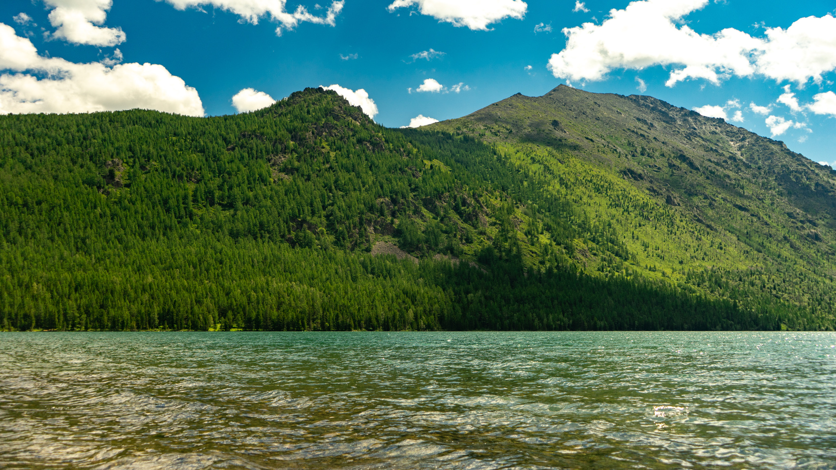 Путешествие Весь Алтай (12 дней) (25/102)