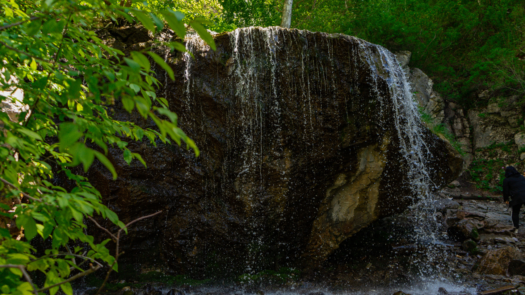 Путешествие Весь Алтай (12 дней) (8/102)