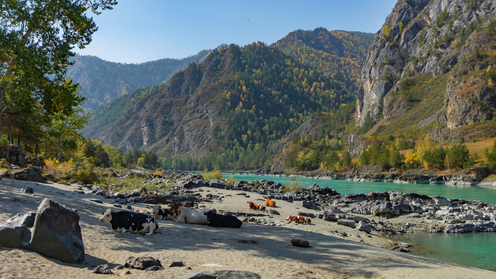 Путешествие Весь Алтай (12 дней) (61/102)