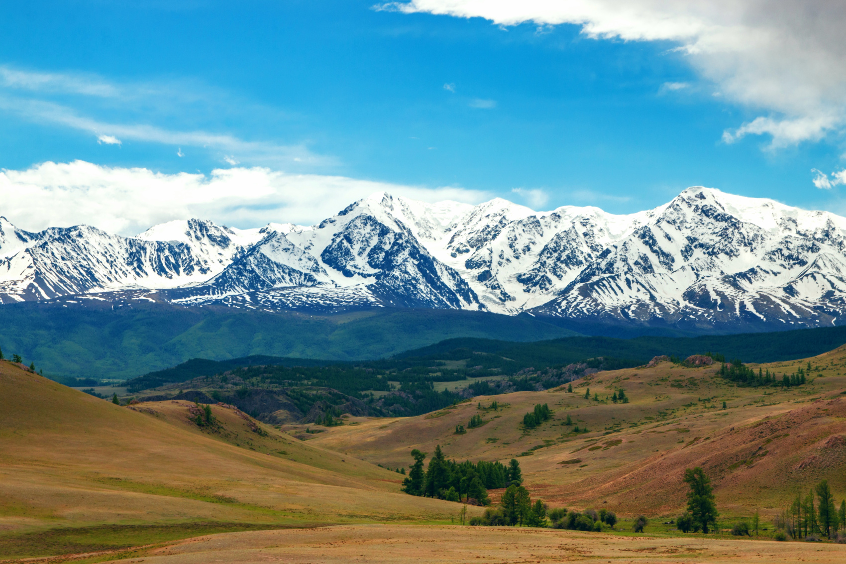 Путешествие Весь Алтай (12 дней) (50/102)