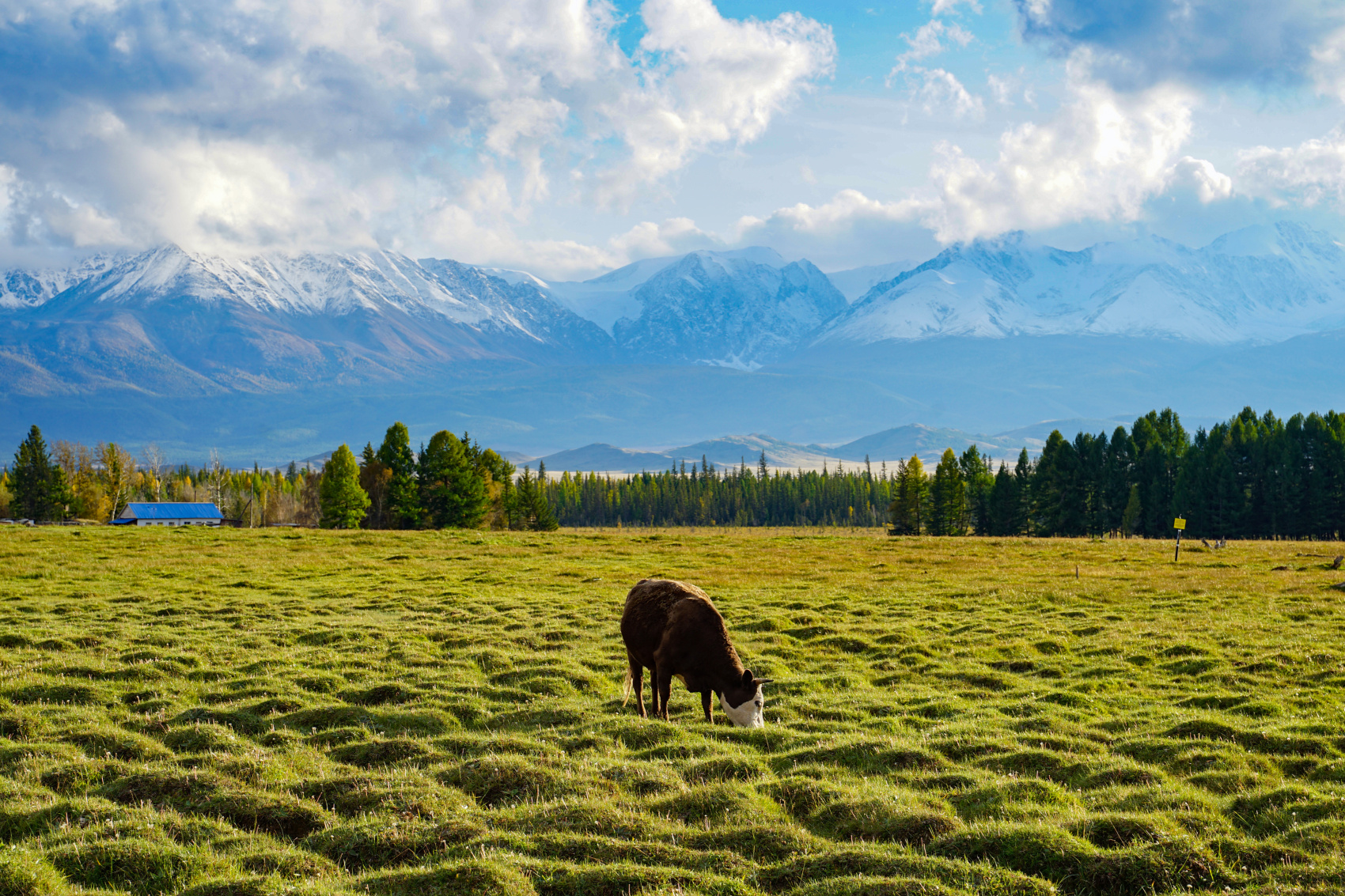 Путешествие Весь Алтай (12 дней) (38/102)