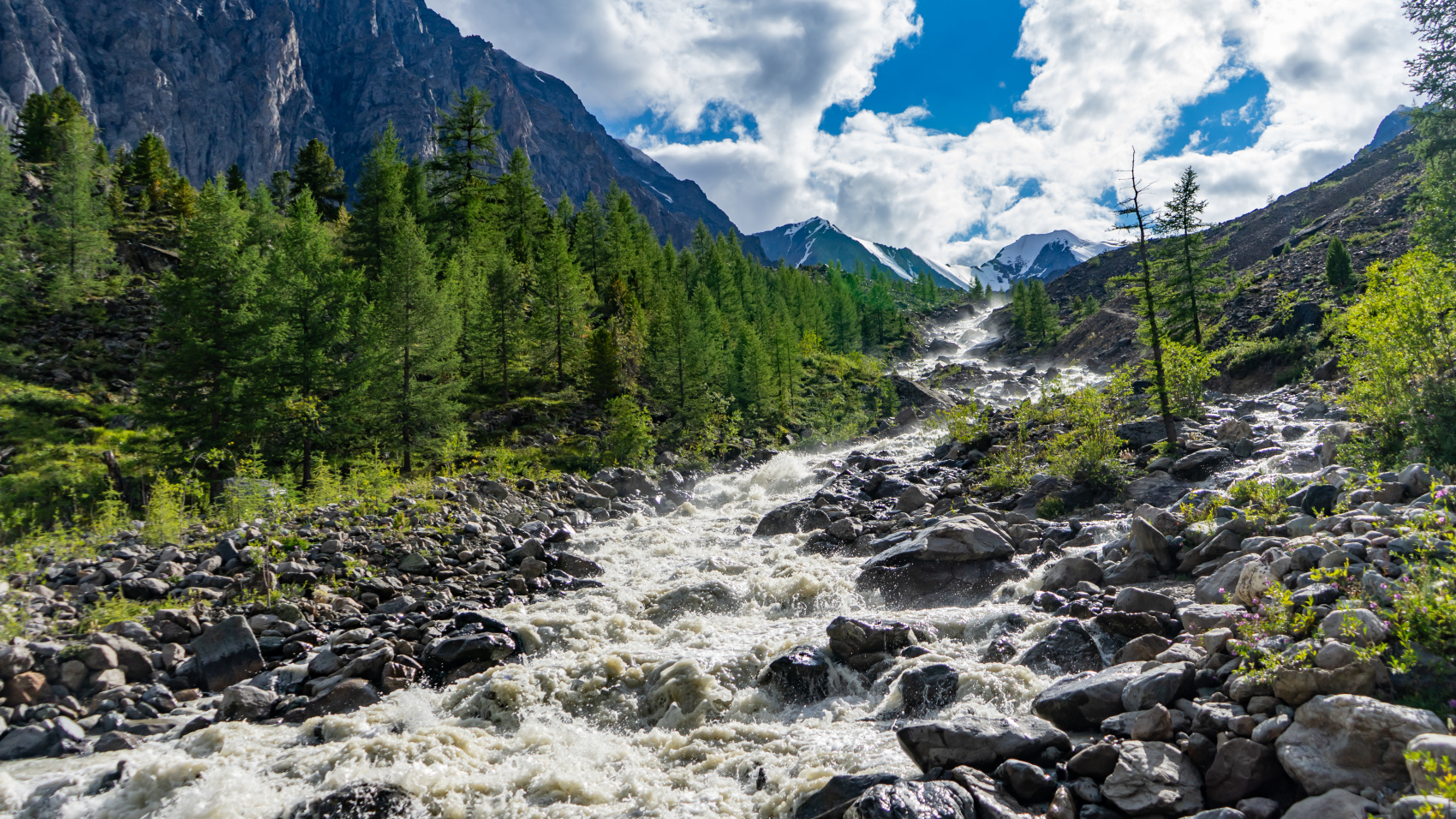 Путешествие Весь Алтай (12 дней) (31/102)
