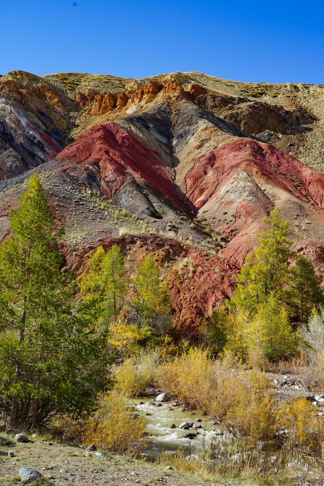 Путешествие Весь Алтай (12 дней) (40/102)