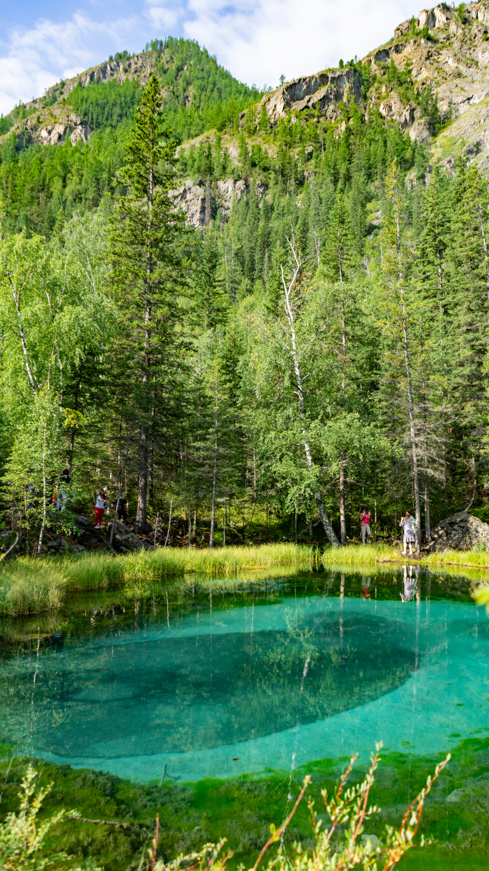 Путешествие Весь Алтай (12 дней) (42/102)