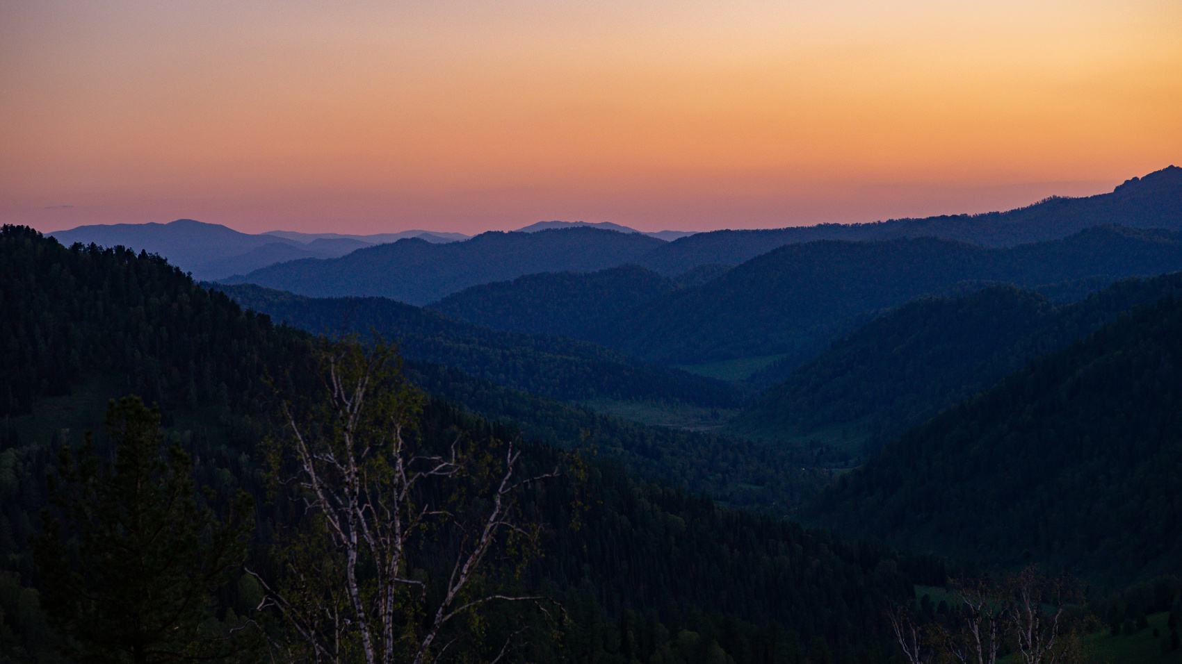 Путешествие Весь Алтай (12 дней) (21/102)