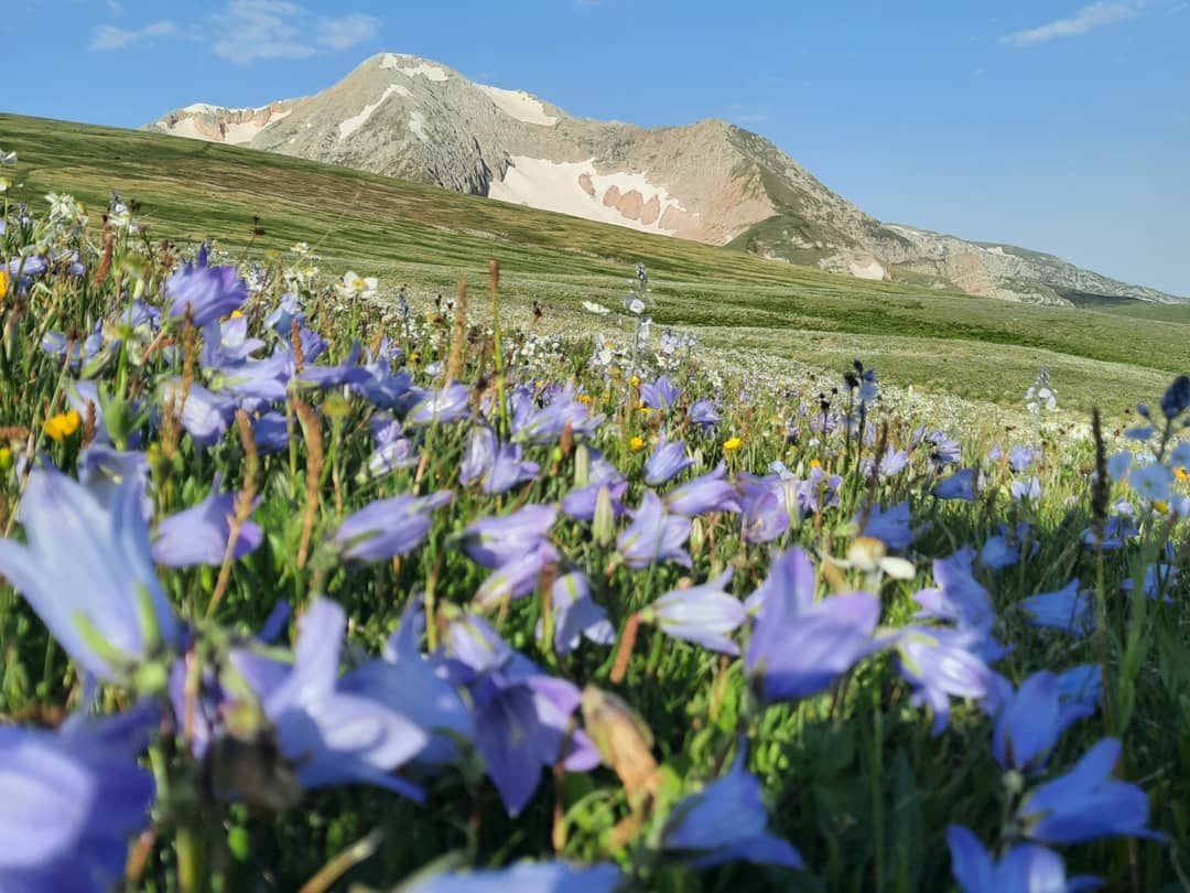 Через горы к морю — поход по Кавказу (2/34)