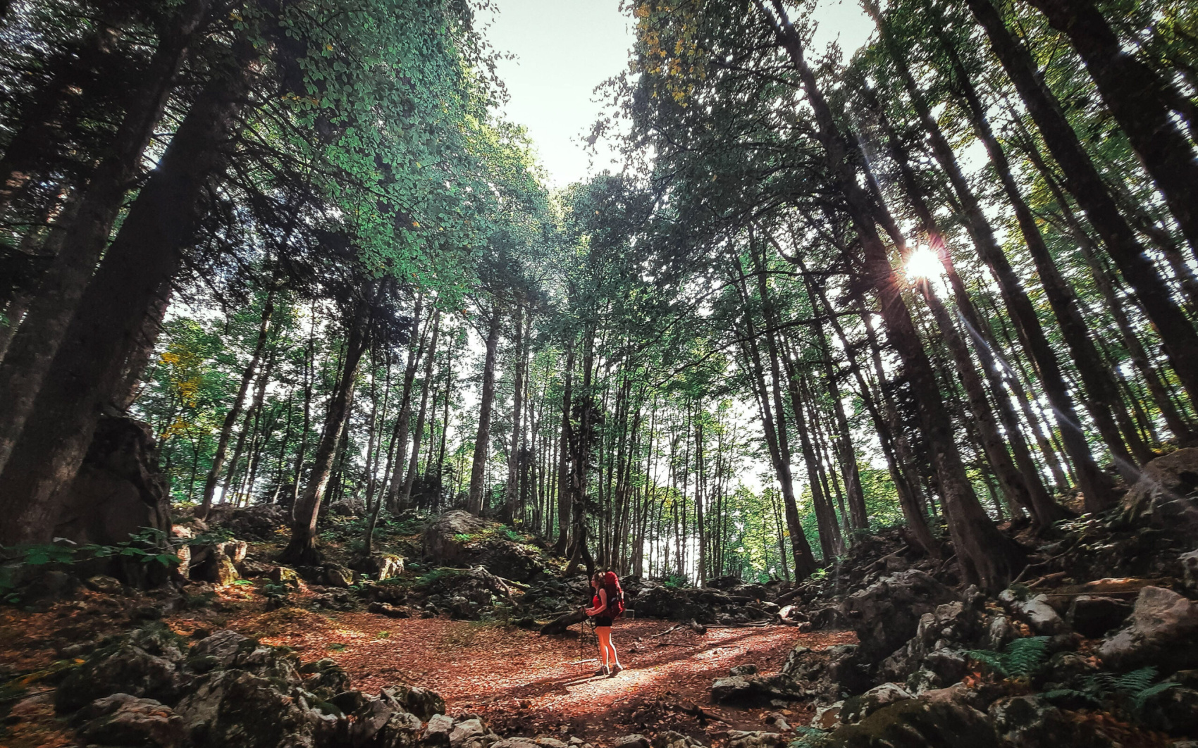 Через горы к морю — поход по Кавказу (6/34)