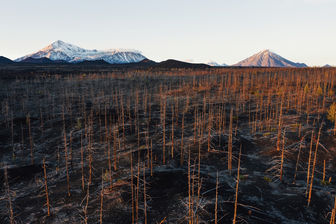 Камчатка — поход вокруг Толбачика с восхождением (26/61)